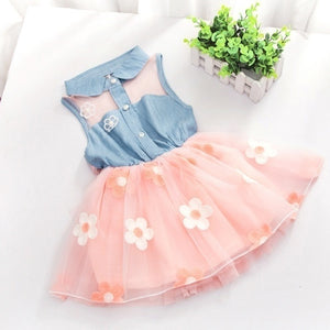 Denim & Pink Floral Tulle Dress